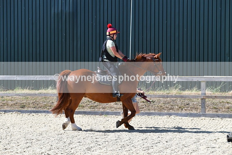 WJ5_5340 - Poles on the Floor