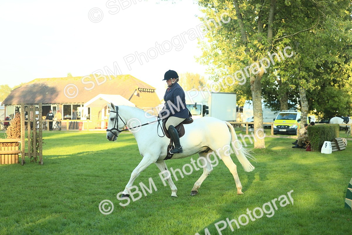 SBM_56427 - S14 - Riding Club Horse