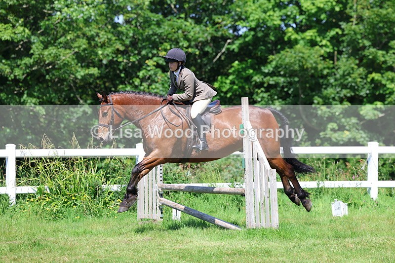 3E7A6952 - Class 30: Novice Working Hunter