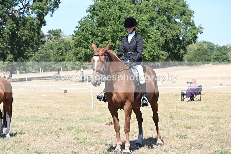 WJ6_8430 - Class 37a Best Loan Pony Ridden