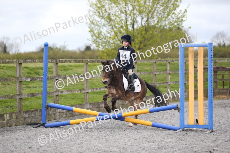 20260412-0555 - Show Jumping
