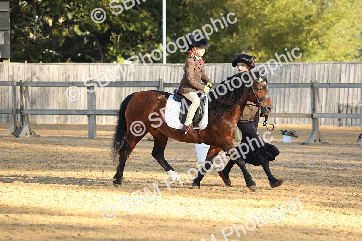 SBM_33674 - D26 - Starers - Lead Rein