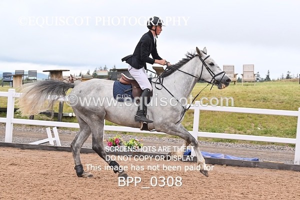 BPP_0308 - CLASS 26 SUN 5 Year Old Non Qualifier