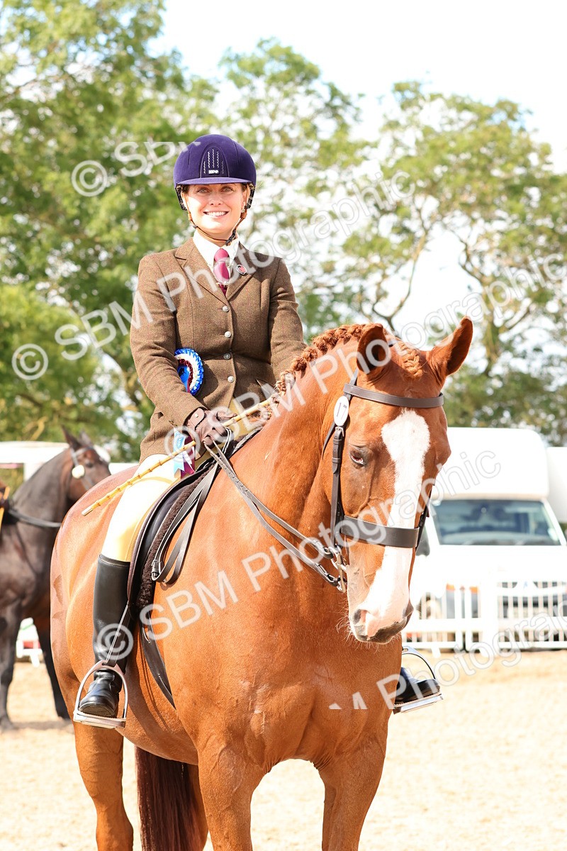 SBM_13572 - Class 212 - Ridden Hunter  - Large