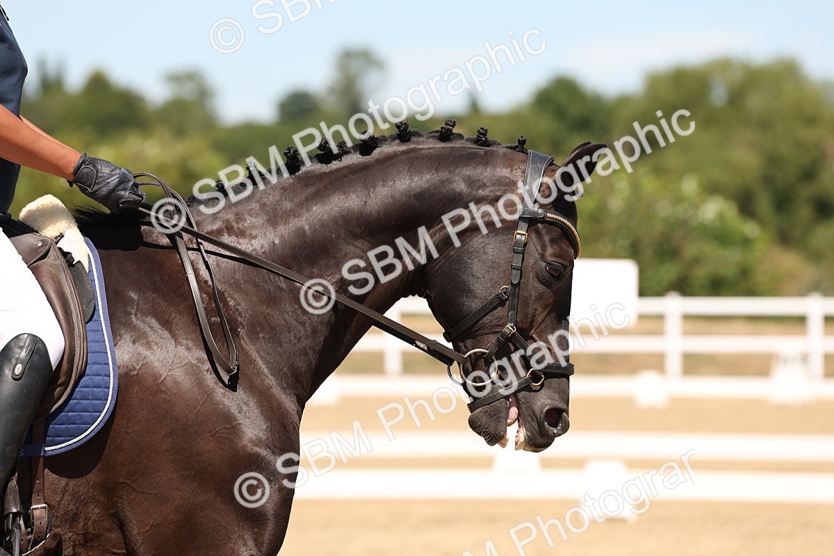 SBM_002812 - Elementary 4