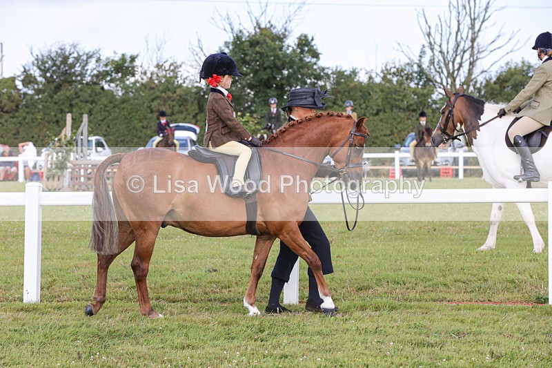 1X9A3547 - Class 29: Lead Rein SP/SHP