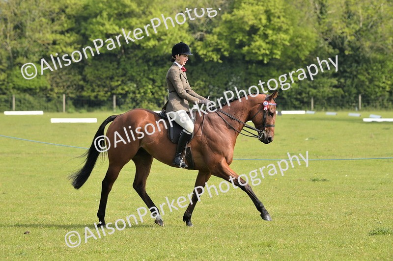 20260426-0919 - Class 18 - Novice Showing