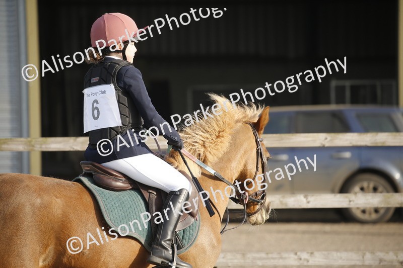 20250412-0012 - Clear Round