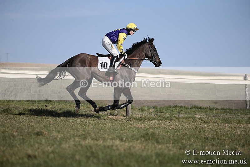 PtP 240218 214 - Vine & Craven Hunt Point-to-Point Barbury racecourse 24/02/18