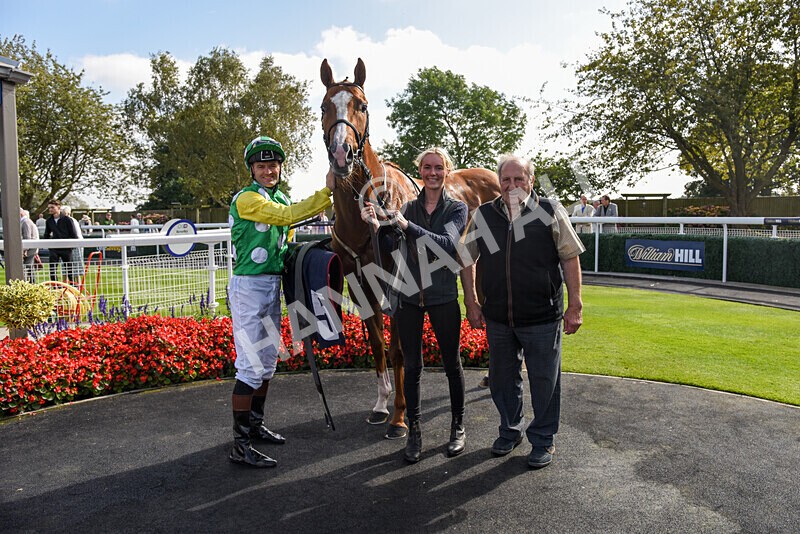 310824-Race 3-Frank The Spark-2754 - Race 3