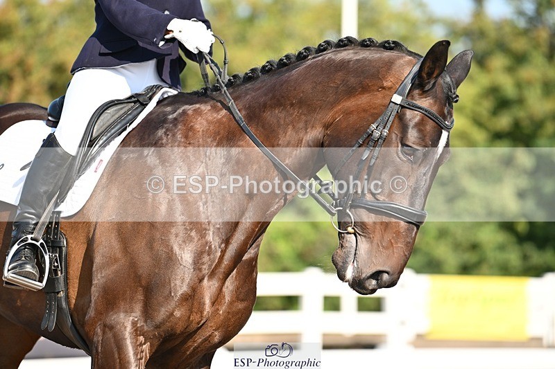 250816-091955-02592 - 112-Carmen.ShahAnnsfort.Lance