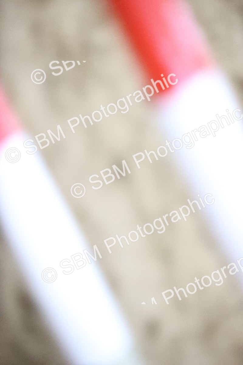 SBM_009233 - Class 20 - Senior British Novice - 80cm