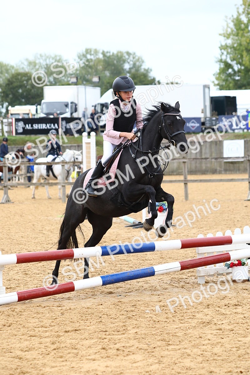 SBM_60057 - J63 - Junior Pony 50cm Championship