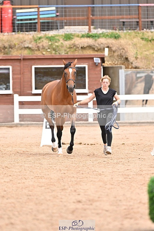 250716-153529-02033 - Trot Up 3.30 to 4.30