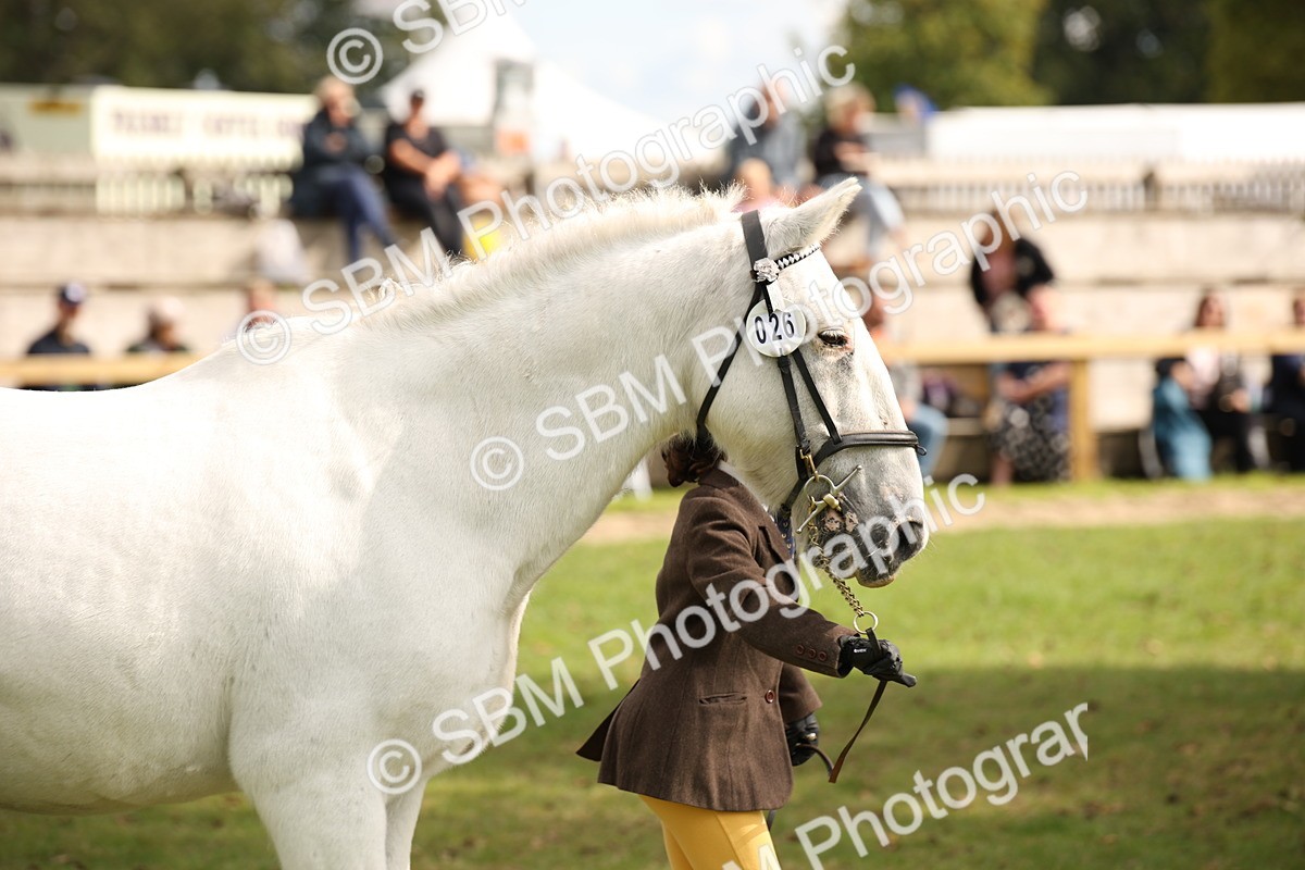 SBM_46404 - S25 - Mature Veteran In Hand