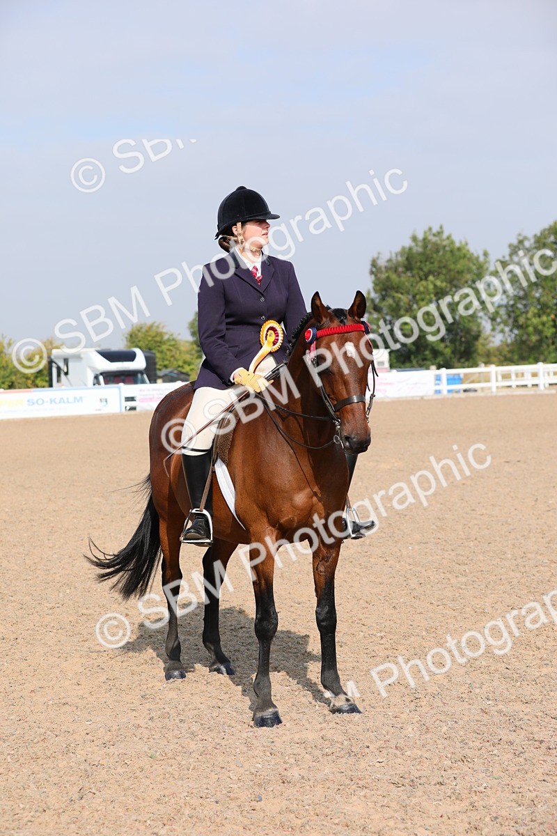 SBM_10938 - Class 304 Ridden Part Bred Horse/Pony