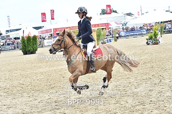 BPP_9991 - RHS 2019 Selection - *Just some random spectator shots so Lucky Dip if you are there!