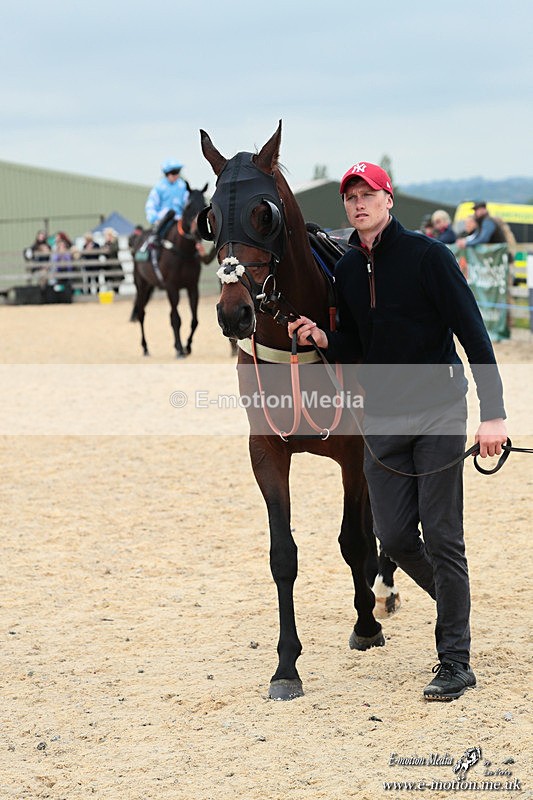 PtP 040526 39 - Mollington Point-to-Point 04/05/26