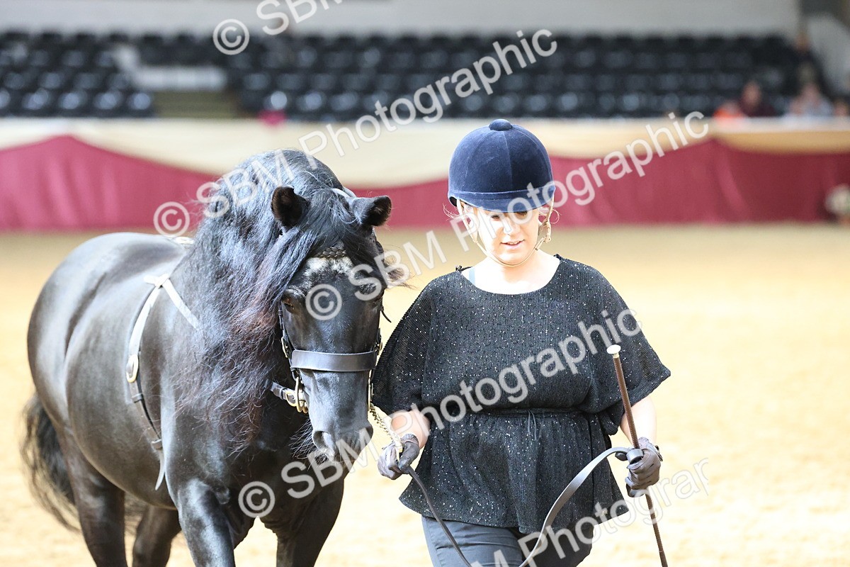 SBM_22499 - Class 902 - Supreme Final - IH Diamond