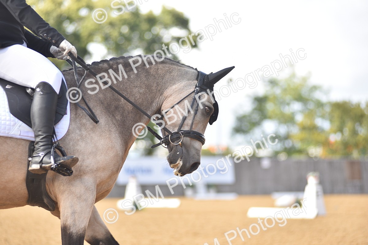 SBM_24274 - D4 - Small Tour Championship Intro 4