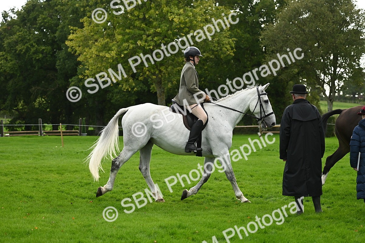 SBM_26346 - S6 - Novice & newcomer Ridden horse