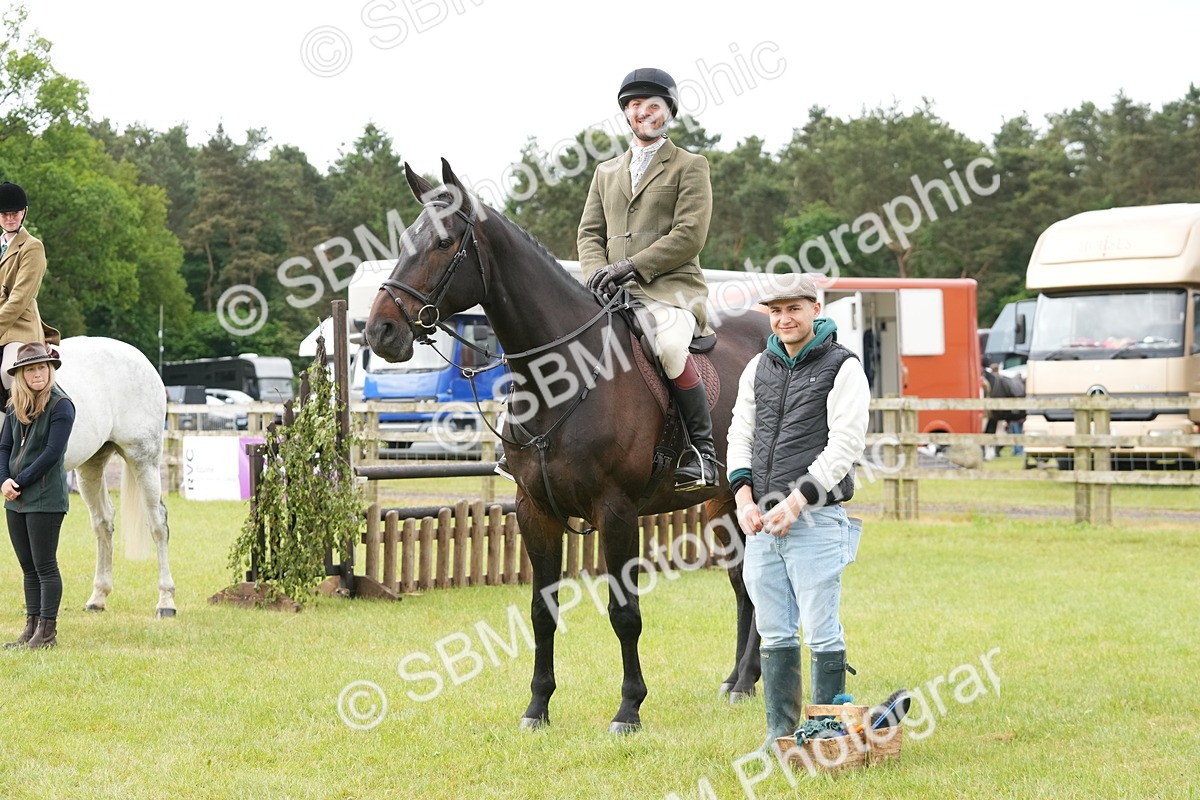SBM_12783 - Class 97-98 - LIHS BSHA Rising Star Working Show Horse Hunter