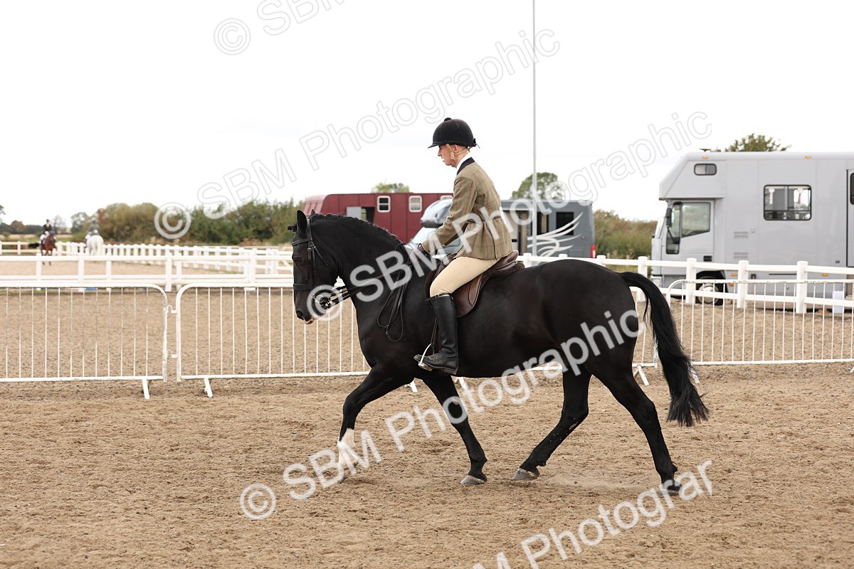 SBM_02907 - Class 53 - Ridden Competition Horse/Pony