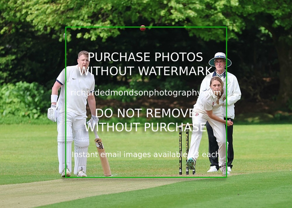 533A4300 - Netherfield Cricket Club 2026 season
