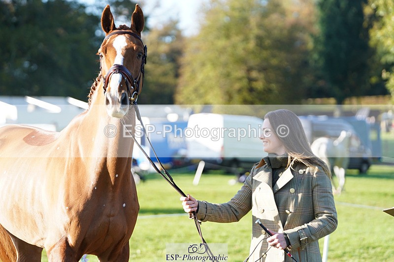 241026-101750-11754 - 010-Julia.Norman-SCOTCH.ON.THE.ROCK'Z