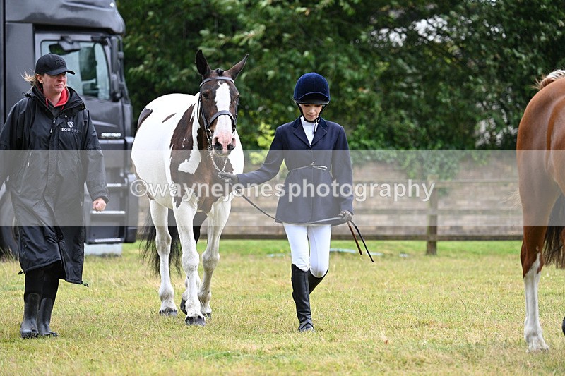 WJ7_6058 - Class 4a Prettiest Mare over 14hh