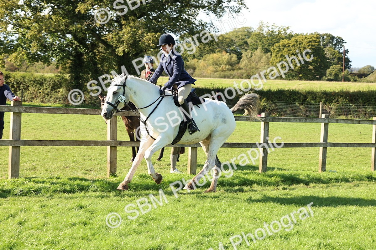 SBM_50098 - S34 - Novice & Newcomers Working Hunter
