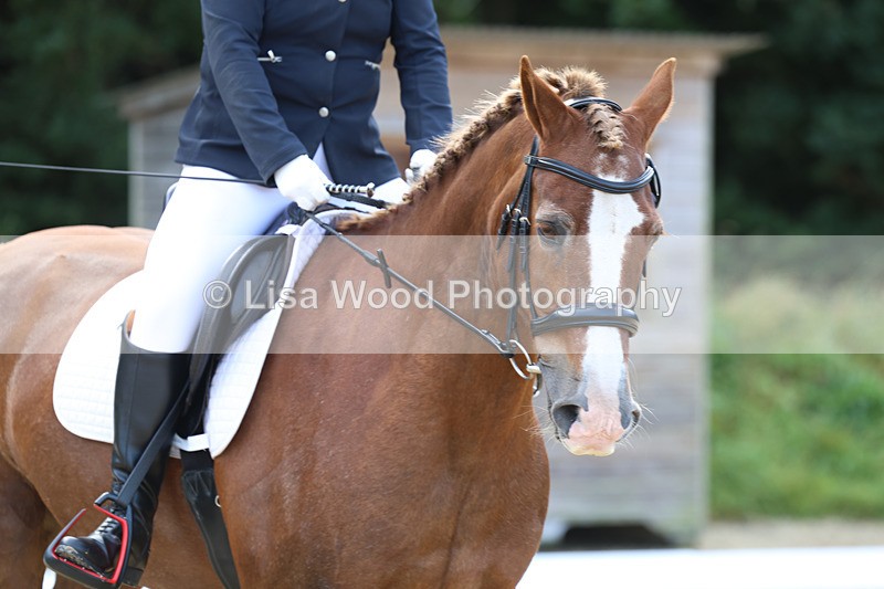 3E7A2258 - Class 1: Intro 4 2024 section A