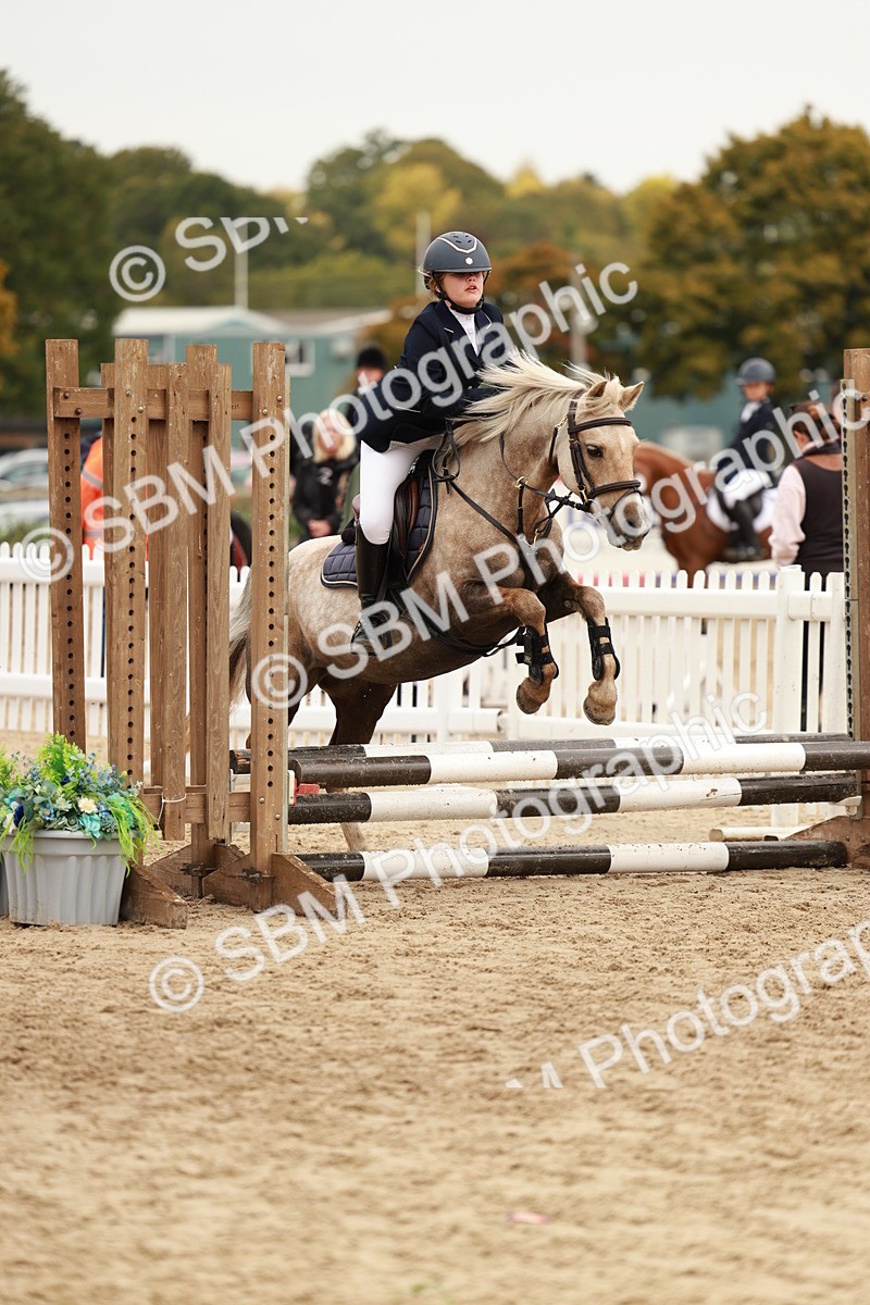 SBM_58010 - J11 - Junior Pony 50cm Championship