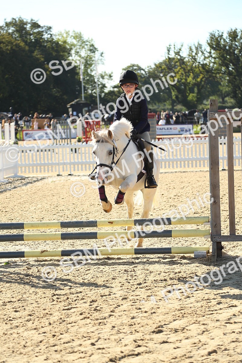 SBM_35972 - J5 - Junior Pony 50cm Championship