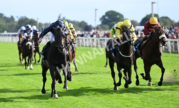 220825-242 Frescobaldi - Race 6 4.45pm British Stallion Studs EBF Convivial Maiden Stakes