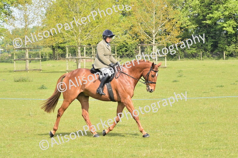 20260426-1125 - Class 19 - Retraining Of Racehorses