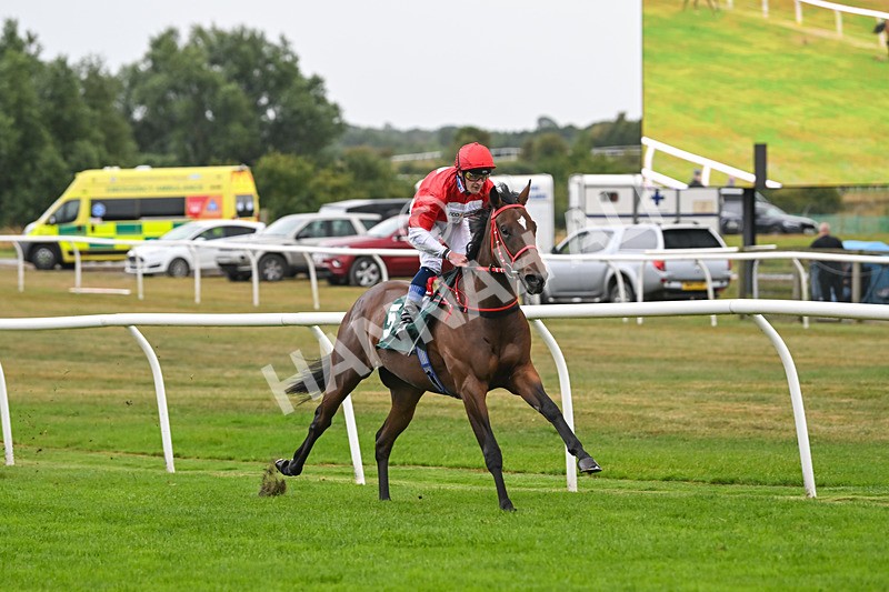 270825-Race 2-Rogue Attraction-4850 - Race 2