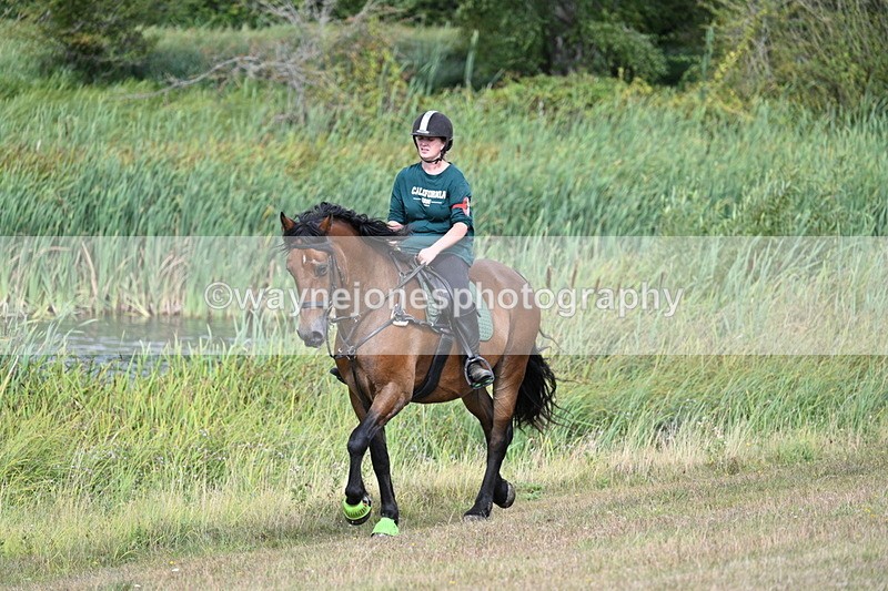 WJ7_4873 - Time 11:17 to 11:22