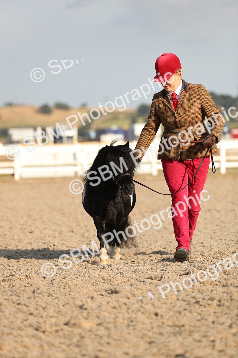 SBM_09003 - Class 29 IH Veteran Pony