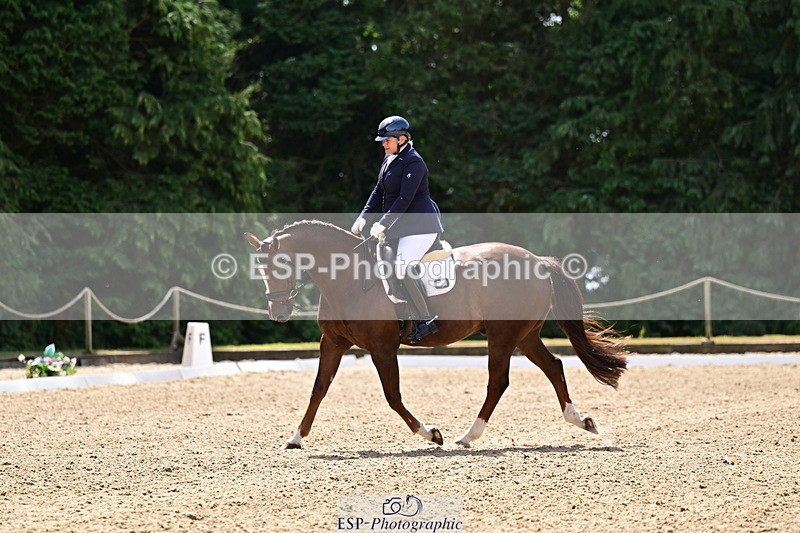 260802A-120135-06050 - Novice Silver break- end