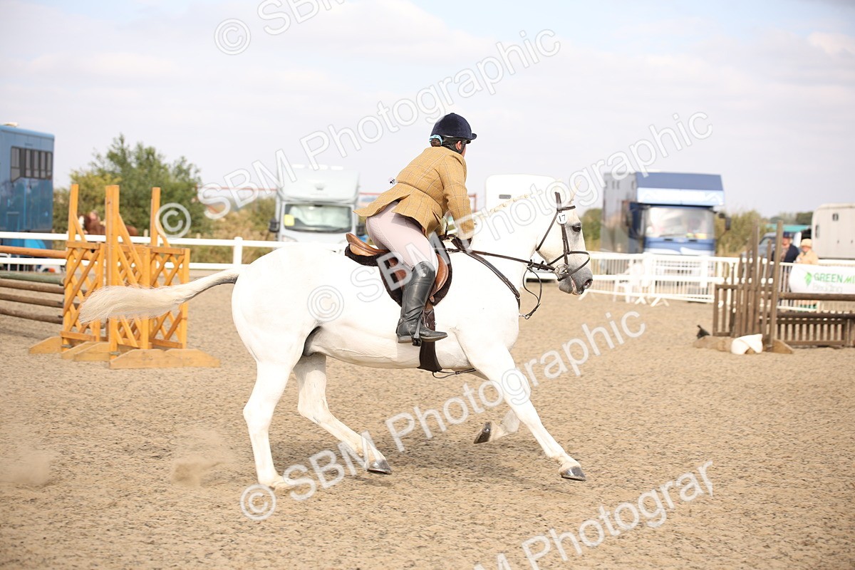 SBM_17278 - Class 410a - Wor5king Veteran 90cm (15-19)
