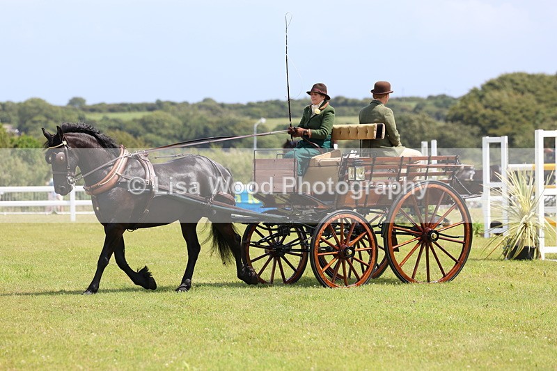 3E7A2722 - Class 12: Open Driving