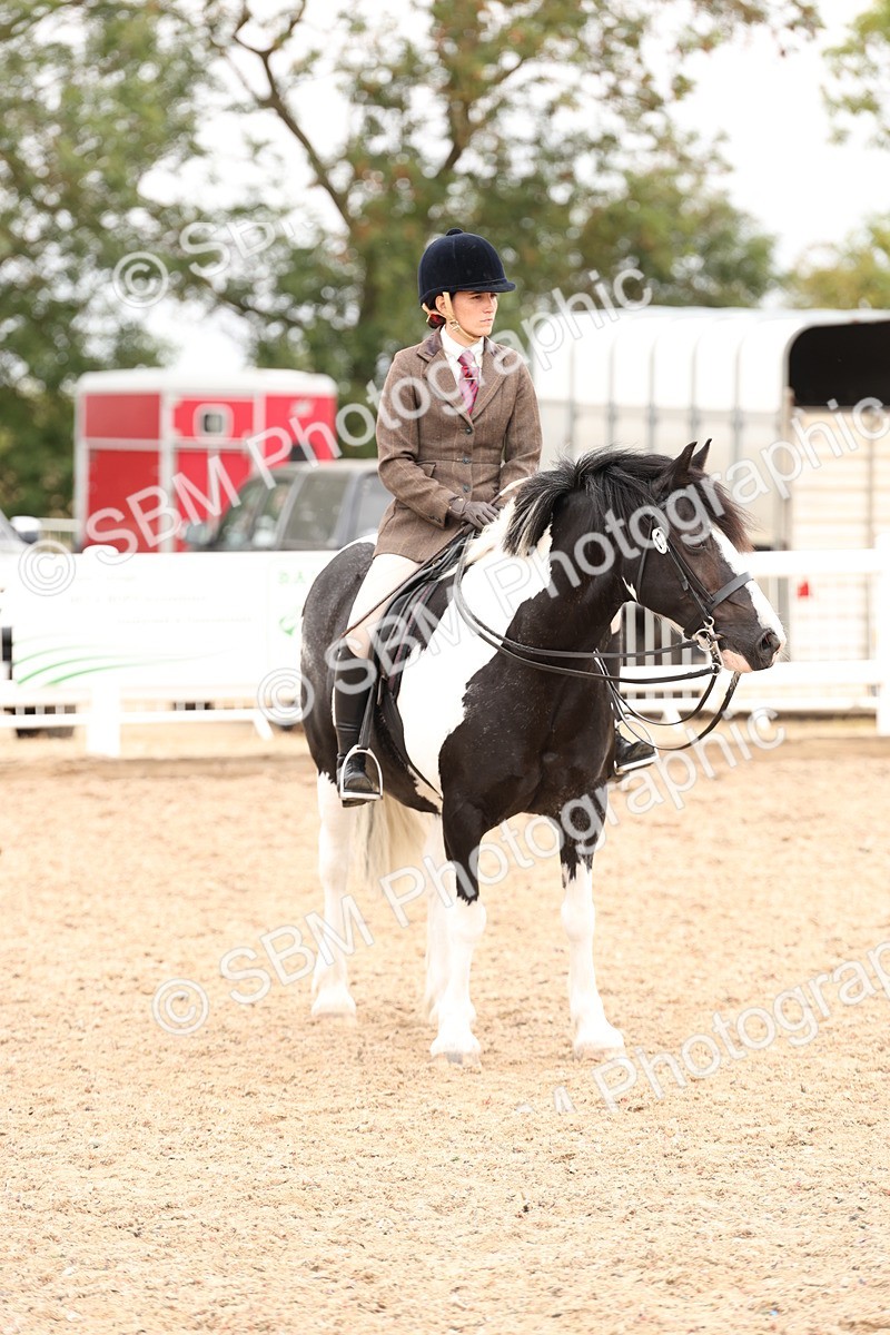 SBM_19710 - Class 216 - Ridden Traditional - Native Cob