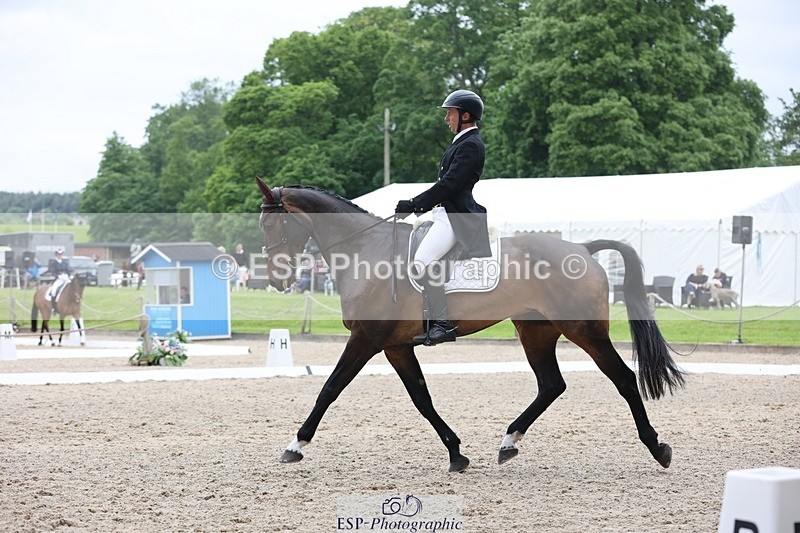 240523-160553-05900 - 323-EMERALD_ENDEAVOUR-Harry_Dzenis