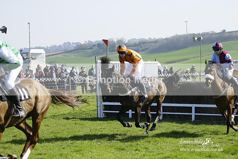 PtP 190322 494 - Wilton Hunt PtP Milborne St Andrew 19/03/22
