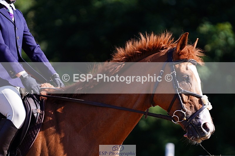 240809A-090310-00137 - Dressage Competition
