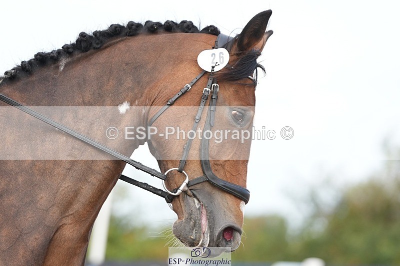 250906-110457-01940 - 026-Alison.McCarthyFarleaze.Lady.Sylvia