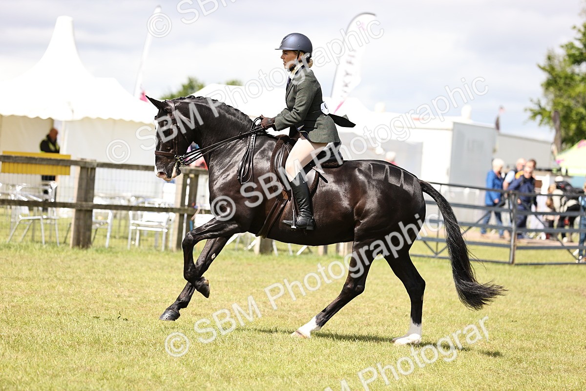 SBM_14539 - Class 88-89 - LIHS BSHA Rising Star of Ridden Hunter Type