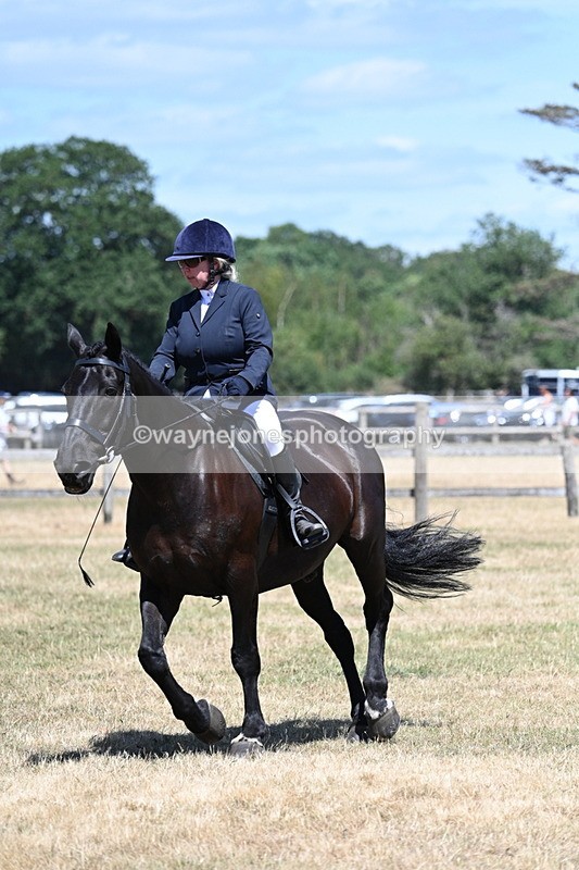 WJ7_2957 - Class 7 Riding Club Show Horse