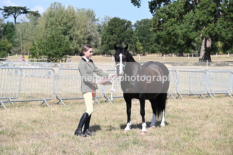 WJ6_5007 - Class 17 Mountain & Moorland